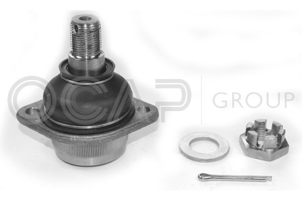 Šarnyras / girgždukas OCAP 0400825