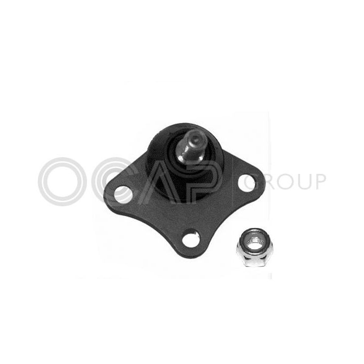 Šarnyras / girgždukas OCAP 0401014