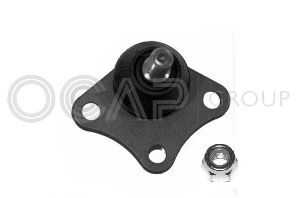 Šarnyras / girgždukas OCAP 0401014
