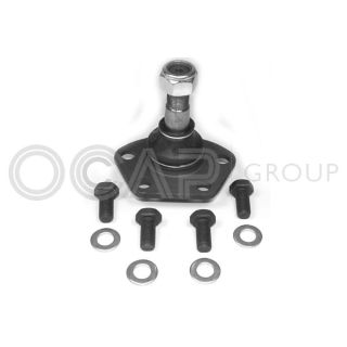 Šarnyras / girgždukas OCAP 0401138