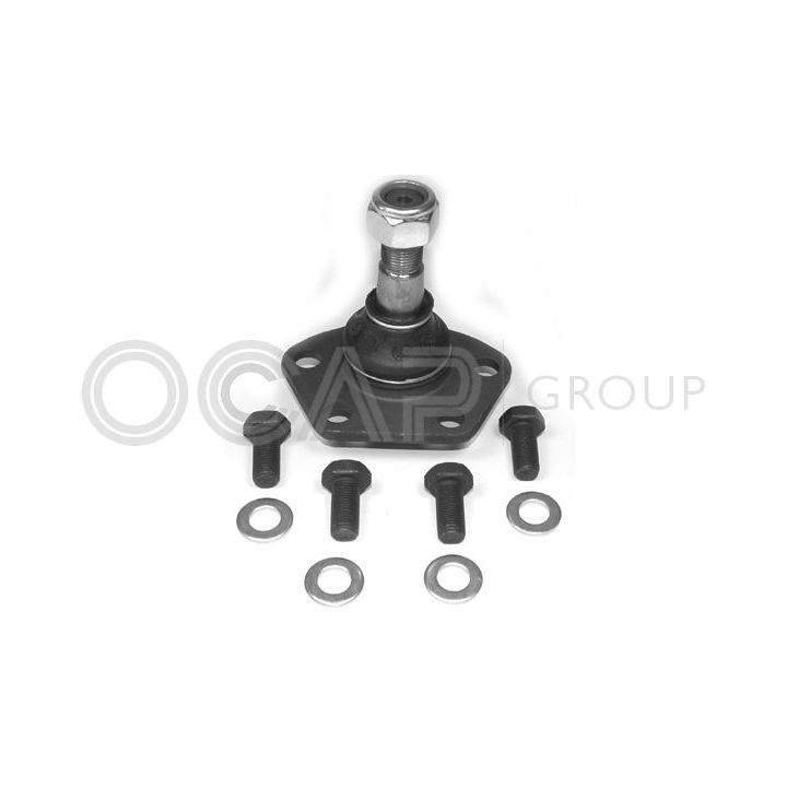 Šarnyras / girgždukas OCAP 0401138