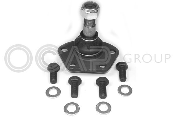 Šarnyras / girgždukas OCAP 0401138
