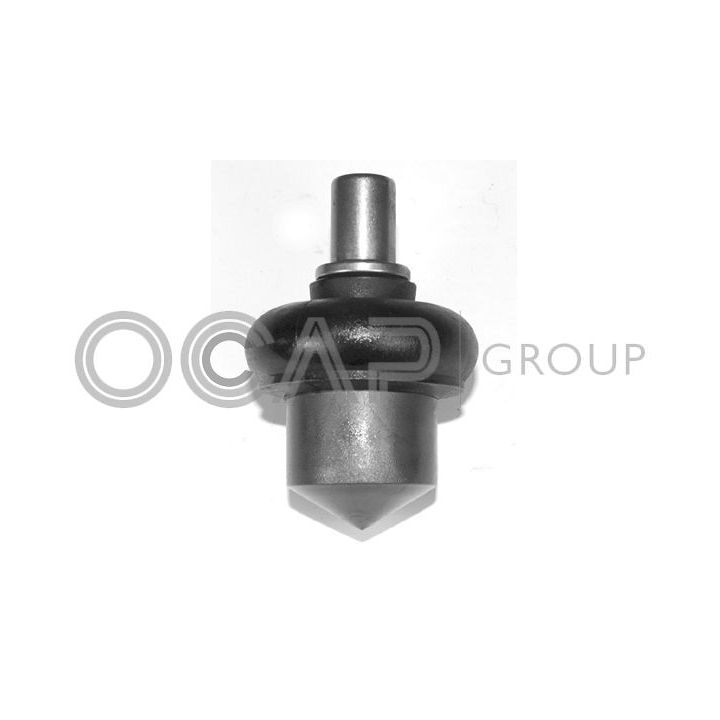 Šarnyras / girgždukas OCAP 0401218
