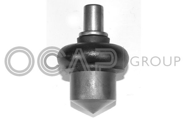 Šarnyras / girgždukas OCAP 0401218