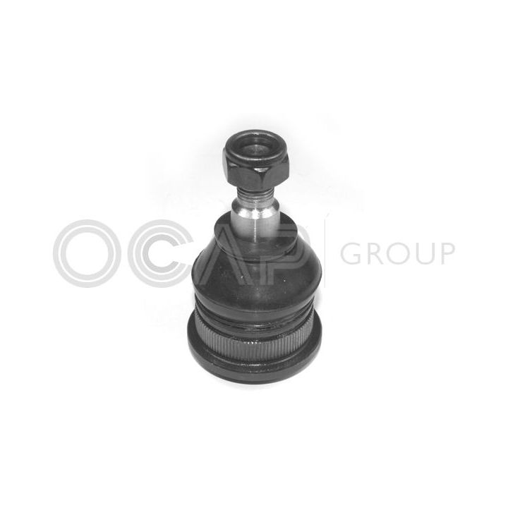 Šarnyras / girgždukas OCAP 0401288