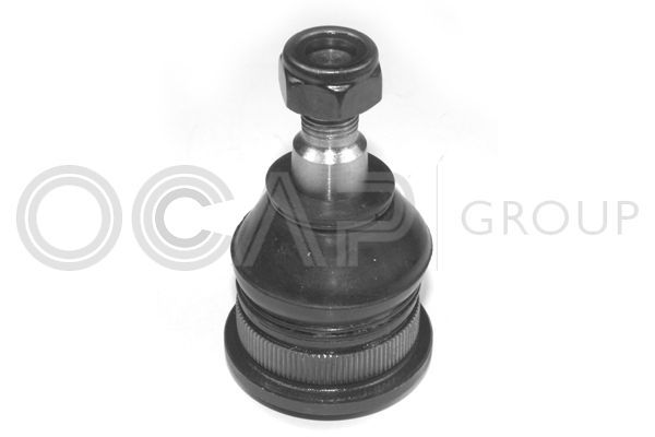 Šarnyras / girgždukas OCAP 0401288