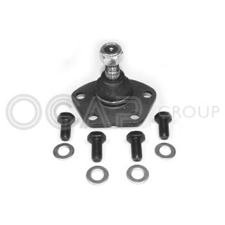 Šarnyras / girgždukas OCAP 0401446