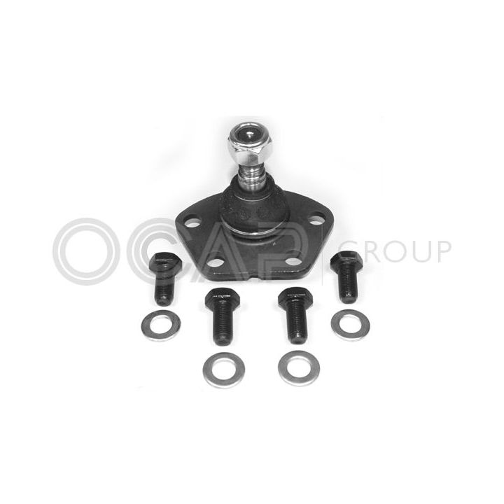 Šarnyras / girgždukas OCAP 0401446