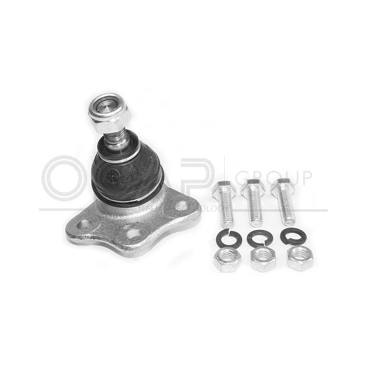 Šarnyras / girgždukas OCAP 0401447