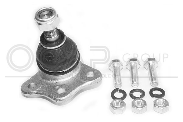 Šarnyras / girgždukas OCAP 0401447