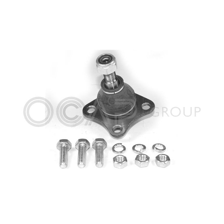 Šarnyras / girgždukas OCAP 0401450