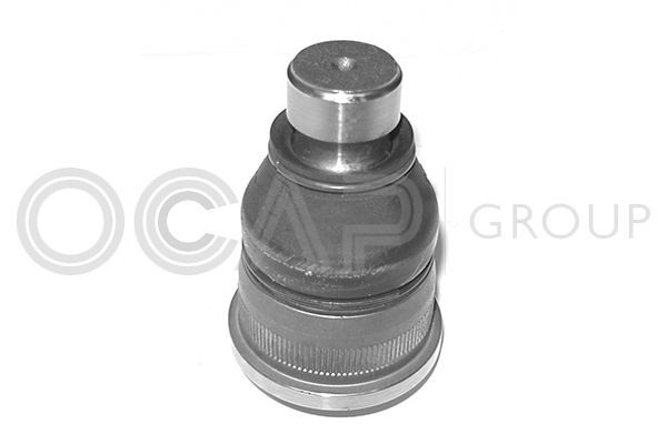 Šarnyras / girgždukas OCAP 0401494