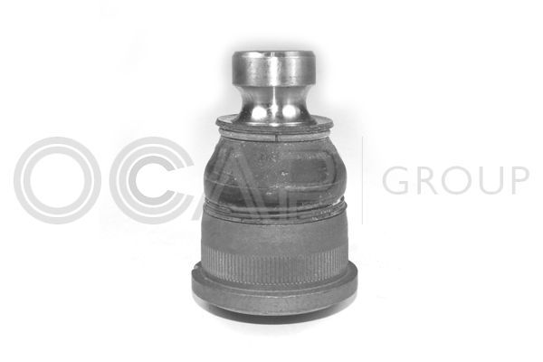 Šarnyras / girgždukas OCAP 0401495