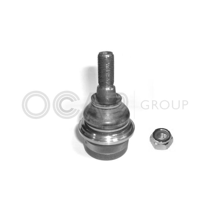 Šarnyras / girgždukas OCAP 0401522