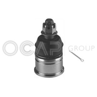 Šarnyras / girgždukas OCAP 0401679