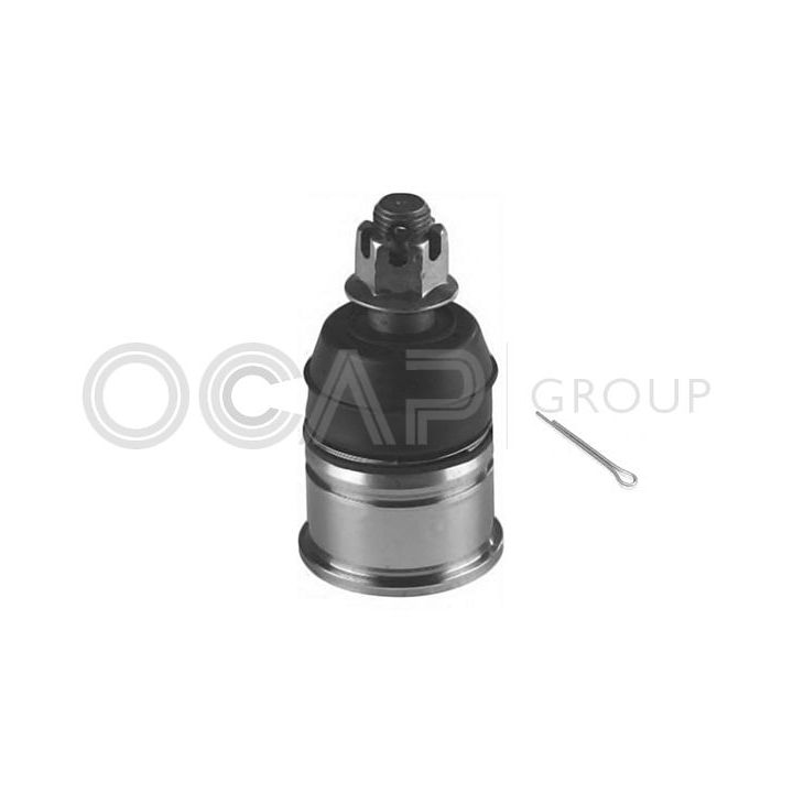 Šarnyras / girgždukas OCAP 0401679