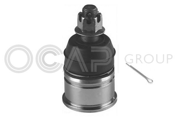 Šarnyras / girgždukas OCAP 0401679