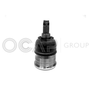 Šarnyras / girgždukas OCAP 0401807