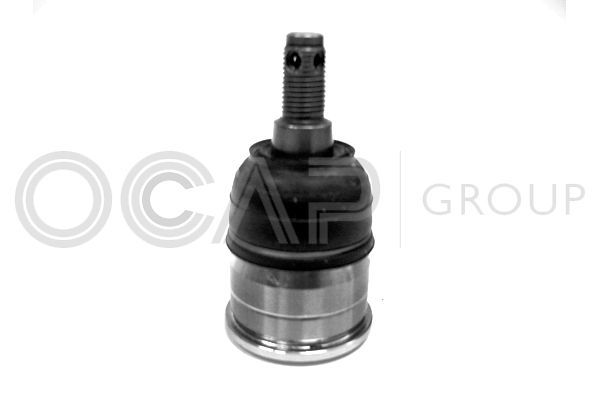 Šarnyras / girgždukas OCAP 0401807