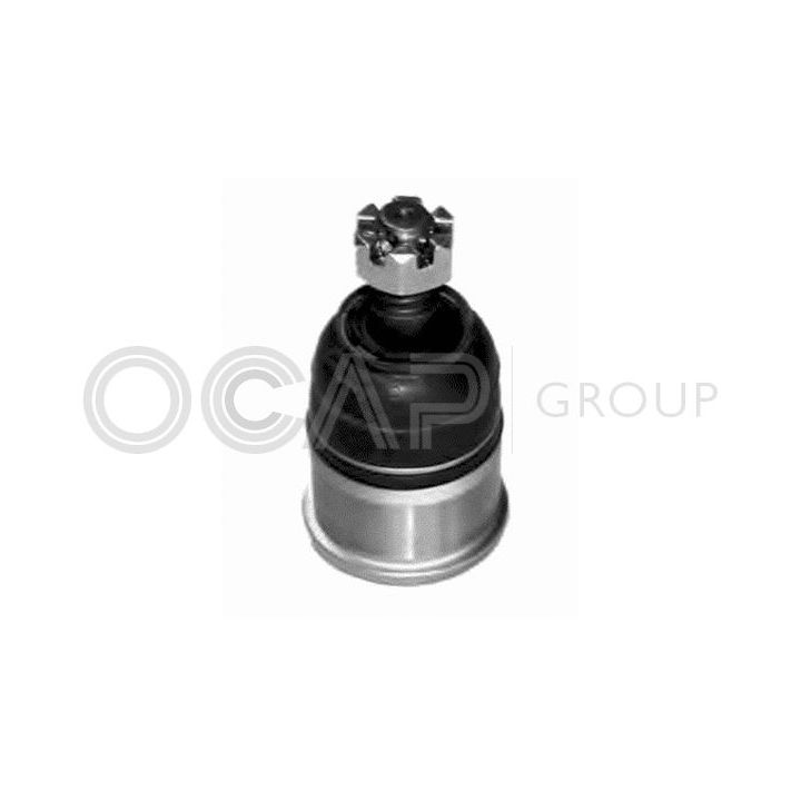 Šarnyras / girgždukas OCAP 0401809