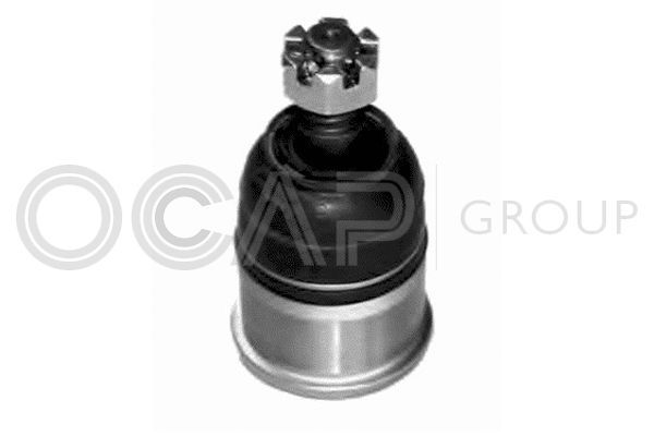 Šarnyras / girgždukas OCAP 0401809