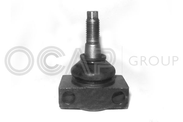 Šarnyras / girgždukas OCAP 0401841
