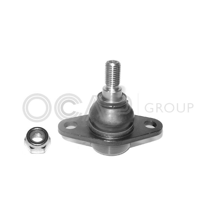 Šarnyras / girgždukas OCAP 0401867