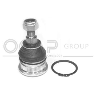 Šarnyras / girgždukas OCAP 0401887