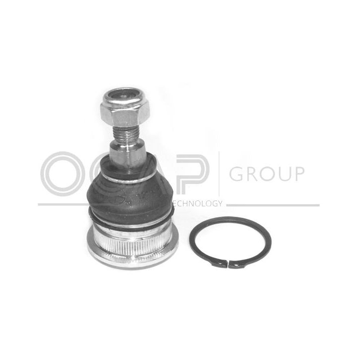 Šarnyras / girgždukas OCAP 0401887