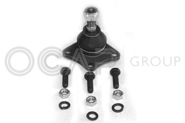 Šarnyras / girgždukas OCAP 0402035