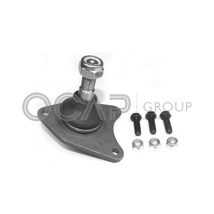 Šarnyras / girgždukas OCAP 0402070