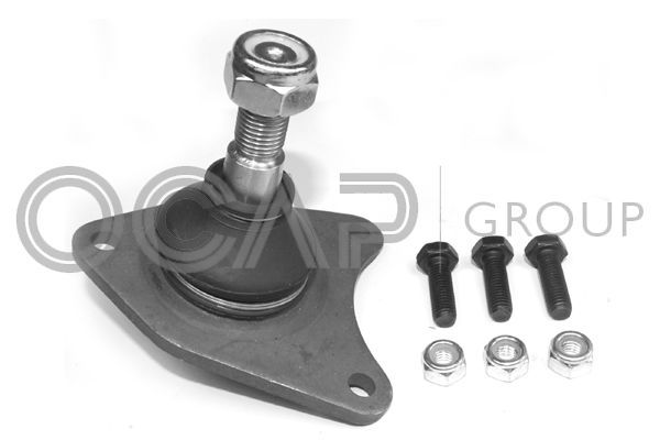 Šarnyras / girgždukas OCAP 0402070