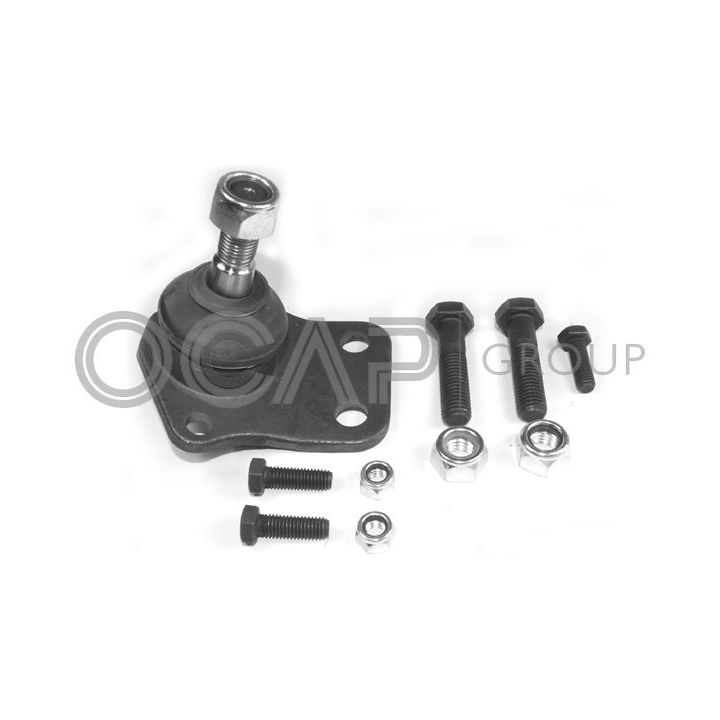 Šarnyras / girgždukas OCAP 0402071