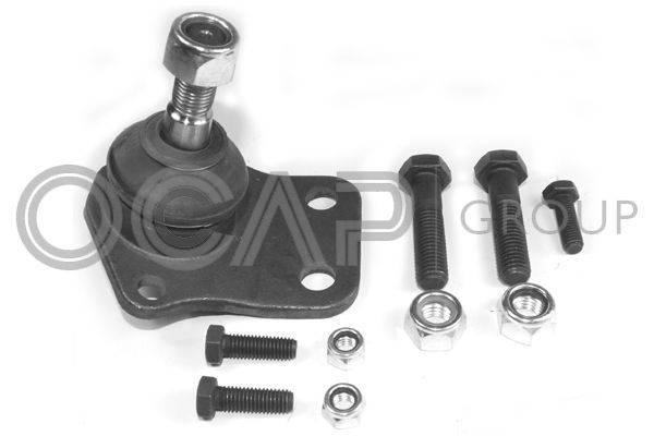 Šarnyras / girgždukas OCAP 0402071