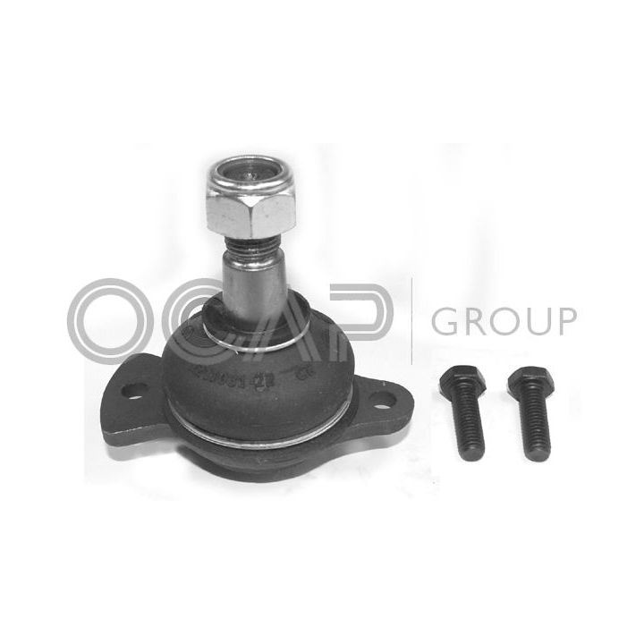 Šarnyras / girgždukas OCAP 0402235