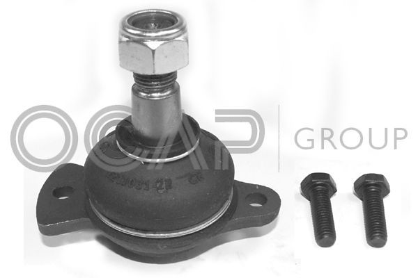 Šarnyras / girgždukas OCAP 0402235