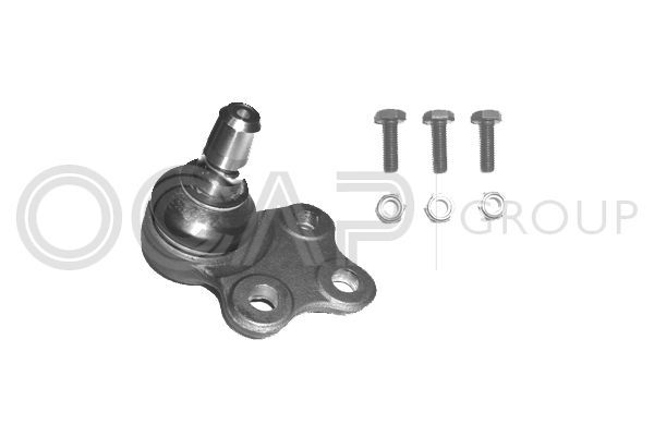 Šarnyras / girgždukas OCAP 0402268