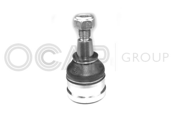 Šarnyras / girgždukas OCAP 0402311