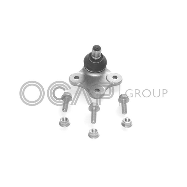 Šarnyras / girgždukas OCAP 0402357