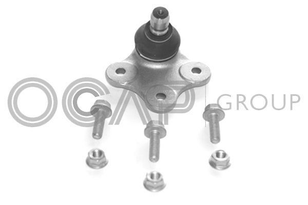 Šarnyras / girgždukas OCAP 0402357