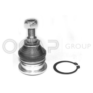Šarnyras / girgždukas OCAP 0402484