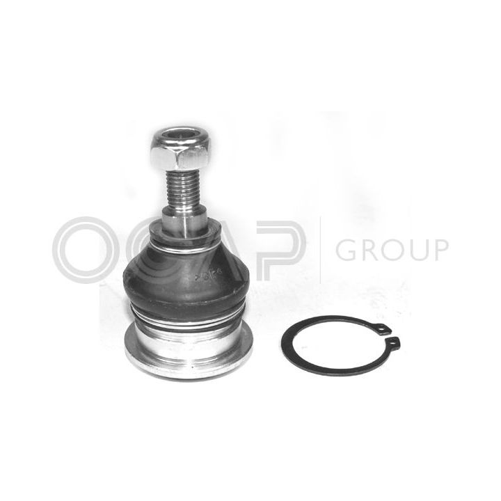 Šarnyras / girgždukas OCAP 0402484