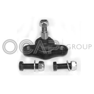 Šarnyras / girgždukas OCAP 0402498