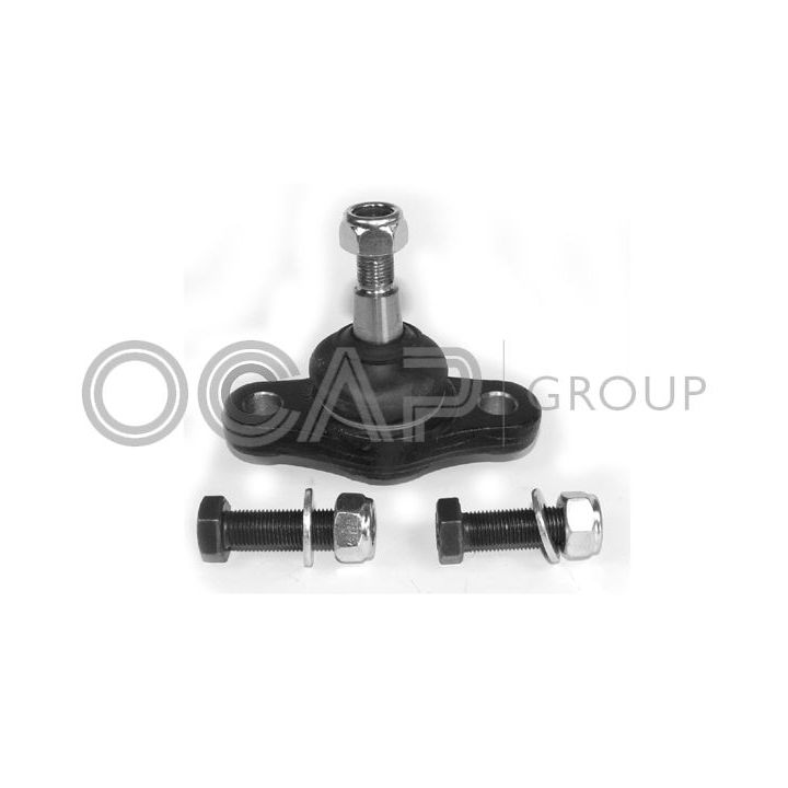 Šarnyras / girgždukas OCAP 0402498