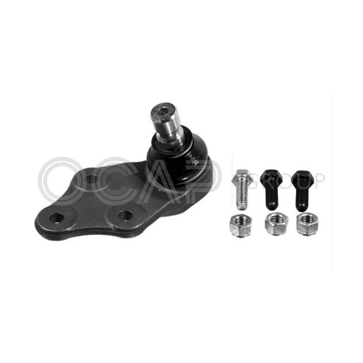 Šarnyras / girgždukas OCAP 0402531