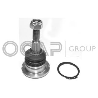 Šarnyras / girgždukas OCAP 0402554