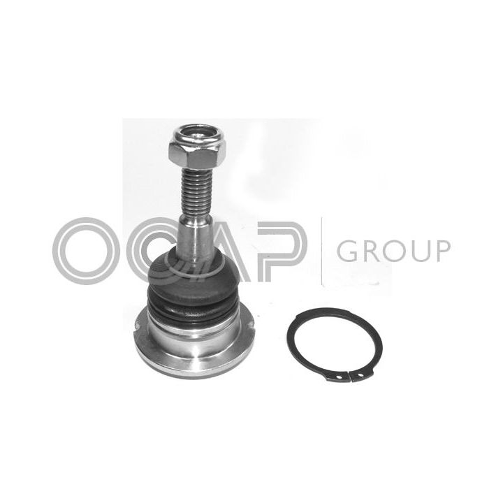 Šarnyras / girgždukas OCAP 0402554