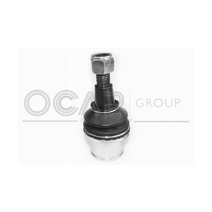 Šarnyras / girgždukas OCAP 0402556