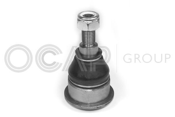 Šarnyras / girgždukas OCAP 0402617