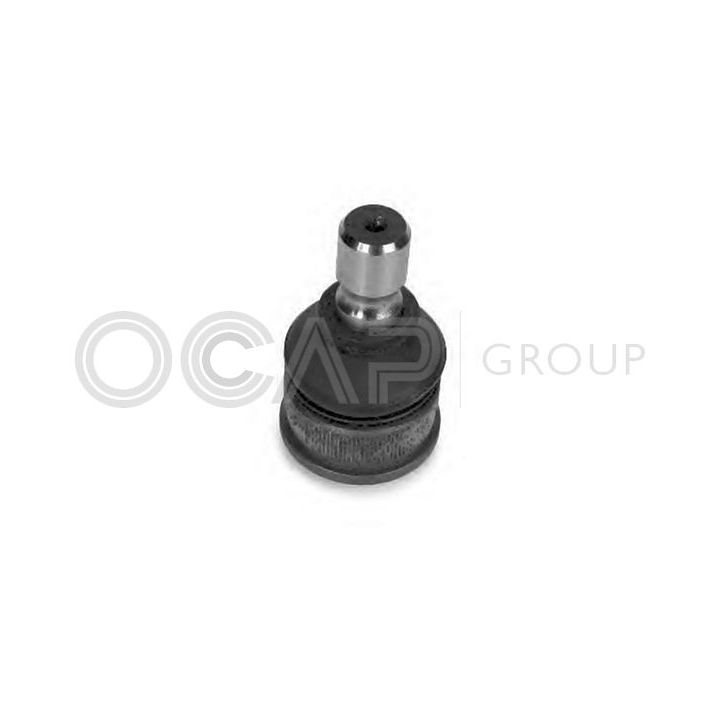 Šarnyras / girgždukas OCAP 0402640